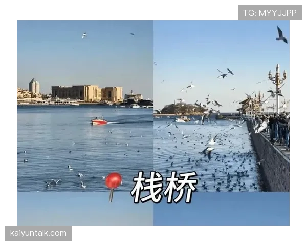 不可抗力中断比赛后，规则如何决定是否重赛或判胜负？